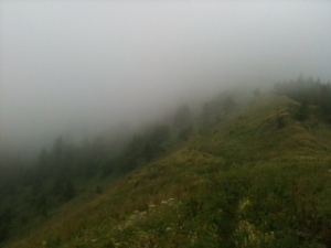 Nebel steigt auf bei der Alpe Fumé